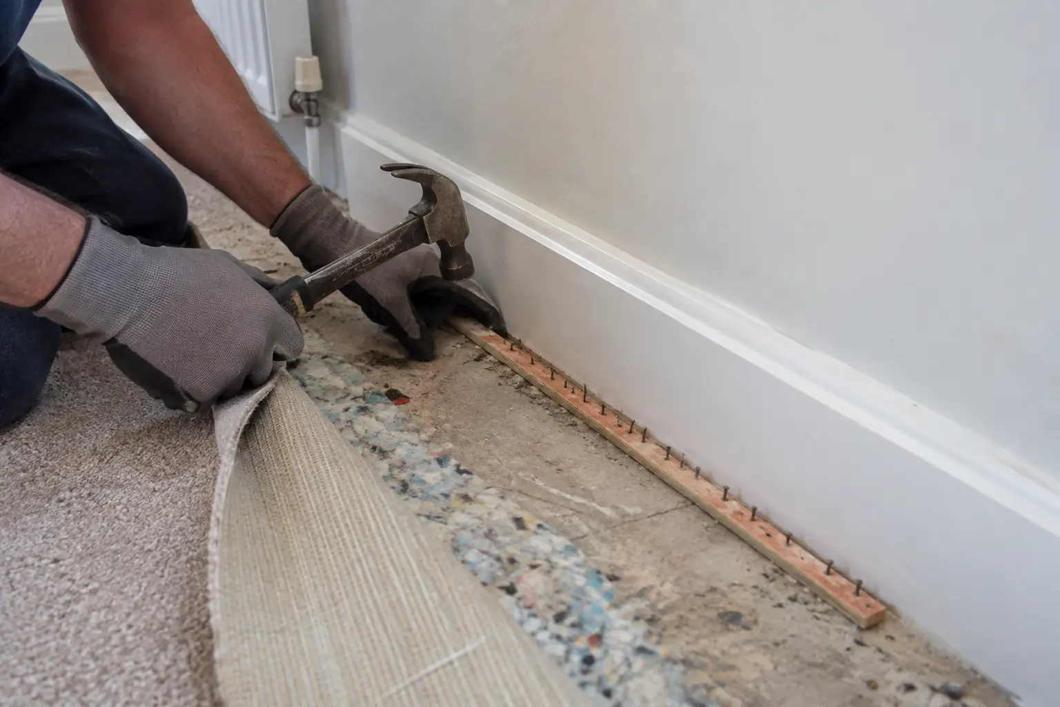 Carpet gripper replacement — Carpet fitter replacing a narrow wooden carpet gripper strip along white skirting, carpet and underlay folded back to reveal the subfloor and pointed gripper pins, gloves and small hammer, close clear task view.